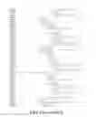 Fig. 94 - SPECIFIC BINDING PROTEINS AND USES THEREOF