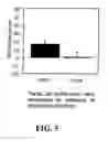 Fig. 06 - GENES, METHODS, AND COMPOSITIONS RELATED TO NEUROGENESIS AND ITS MODULATION