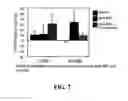 Fig. 08 - GENES, METHODS, AND COMPOSITIONS RELATED TO NEUROGENESIS AND ITS MODULATION
