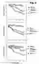 Fig. 09 - COMPOSITIONS AND METHODS OF TREATMENT USING MODULATORS OF MOTONEURON DISEASES
