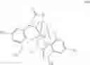 Fig. 22 - Hydroxylated contrast enhancement agents