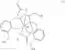 Fig. 24 - Hydroxylated contrast enhancement agents