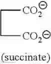 Fig. 33 - Hydroxylated contrast enhancement agents