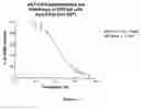 Fig. 03 - Immunizing compositions comprising HIV-1 proviral constructs with an inactive p6 gag TSG101 UEV binding domain capable of producing budding-defective viral particles that remain tethered to the cell surface