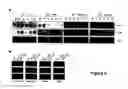 Fig. 06 - METHODS OF MODULATING T CELL- DEPENDENT IMMUNE RESPONSES