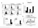 Fig. 07 - METHODS OF MODULATING T CELL- DEPENDENT IMMUNE RESPONSES
