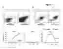 Fig. 12 - METHODS OF MODULATING T CELL- DEPENDENT IMMUNE RESPONSES