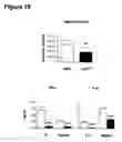 Fig. 19 - METHODS OF MODULATING T CELL- DEPENDENT IMMUNE RESPONSES