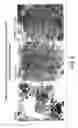 Fig. 09 - Methods of inhibiting unwanted cell proliferation using an antibody that binds to sonic hedgehog and inhibits hedgehog signaling