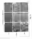 Fig. 14 - Methods of inhibiting unwanted cell proliferation using an antibody that binds to sonic hedgehog and inhibits hedgehog signaling