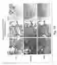 Fig. 16 - Methods of inhibiting unwanted cell proliferation using an antibody that binds to sonic hedgehog and inhibits hedgehog signaling
