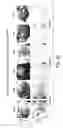 Fig. 32 - Methods of inhibiting unwanted cell proliferation using an antibody that binds to sonic hedgehog and inhibits hedgehog signaling