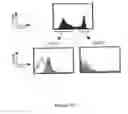 Fig. 24 - Compositions for and methods of identifying antigens