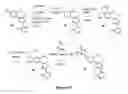 Fig. 09 - Benzoxepin PI3K inhibitor compounds and methods of use