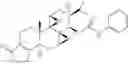 Fig. 11 - TRIPTOLIDE DERIVATIVES FOR MODULATION OF APOPTOSIS AND IMMUNOSUPPRESSION