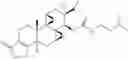 Fig. 12 - TRIPTOLIDE DERIVATIVES FOR MODULATION OF APOPTOSIS AND IMMUNOSUPPRESSION