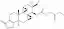 Fig. 17 - TRIPTOLIDE DERIVATIVES FOR MODULATION OF APOPTOSIS AND IMMUNOSUPPRESSION