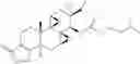 Fig. 18 - TRIPTOLIDE DERIVATIVES FOR MODULATION OF APOPTOSIS AND IMMUNOSUPPRESSION