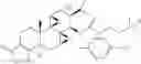 Fig. 19 - TRIPTOLIDE DERIVATIVES FOR MODULATION OF APOPTOSIS AND IMMUNOSUPPRESSION
