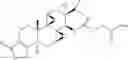 Fig. 21 - TRIPTOLIDE DERIVATIVES FOR MODULATION OF APOPTOSIS AND IMMUNOSUPPRESSION