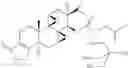 Fig. 22 - TRIPTOLIDE DERIVATIVES FOR MODULATION OF APOPTOSIS AND IMMUNOSUPPRESSION