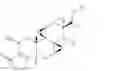 Fig. 24 - TRIPTOLIDE DERIVATIVES FOR MODULATION OF APOPTOSIS AND IMMUNOSUPPRESSION
