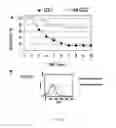 Fig. 20 - Antigenic protein fragments of 
