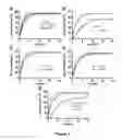 Fig. 03 - Micelle encapsulation of therapeutic agents