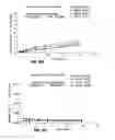 Fig. 41 - RETINOID-CONTAINING SUSTAINED RELEASE INTRAOCULAR IMPLANTS AND RELATED MATTERS