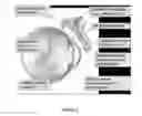 Fig. 03 - Stem cell cultivation devices and methods