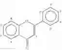 Fig. 08 - Self-adhesive polymer matrix containing sea algae extract