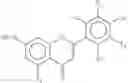 Fig. 10 - Self-adhesive polymer matrix containing sea algae extract