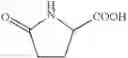 Fig. 16 - Self-adhesive polymer matrix containing sea algae extract