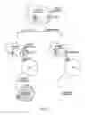 Fig. 02 - USE OF A CHEMICALLY-STABILIZED CHLORITE SOLUTION FOR INHIBITING AN ANTIGEN-SPECIFIC IMMUNE RESPONSE