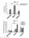 Fig. 04 - PROPHYLACTIC AND/OR THERAPEUTIC AGENT FOR ATOPIC DERMATITIS