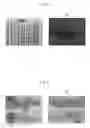 Fig. 07 - PHOTO- IMPRINTING PROCESS, MOLD-DUPLICATING PROCESS, AND MOLD REPLICA