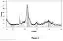 Fig. 02 - Method of forming a calcium phosphate coating within a porous material