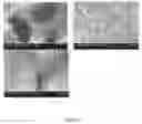 Fig. 03 - Method of forming a calcium phosphate coating within a porous material