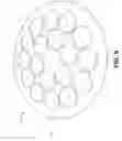 Fig. 11 - NANOCRYSTALLINE DIAMOND-STRUCTURED CARBON COATING OF SILICON CARBIDE