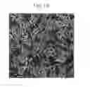 Fig. 06 - Thermally conductive, electrically insulating material and production method thereof