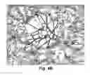 Fig. 06 - Pull up tree system