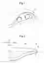 Fig. 02 - Member with skin