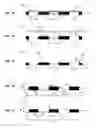 Fig. 02 - Methods for Patterning Substrates Using Heterogeneous Stamps and Stencils and Methods of Making the Stamps and Stencils