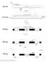 Fig. 10 - Methods for Patterning Substrates Using Heterogeneous Stamps and Stencils and Methods of Making the Stamps and Stencils