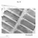 Fig. 17 - Methods for Patterning Substrates Using Heterogeneous Stamps and Stencils and Methods of Making the Stamps and Stencils