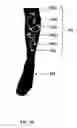 Fig. 08 - Kit For Decorating An Article