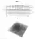 Fig. 03 - Package substrate