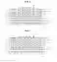 Fig. 05 - Package substrate
