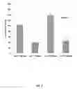 Fig. 04 - DUST-REPELLENT NANOPARTICLE SURFACES