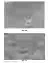Fig. 11 - DUST-REPELLENT NANOPARTICLE SURFACES